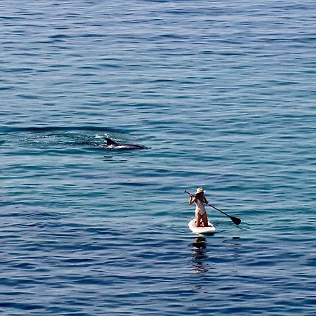 בית הארחה Casa Aurita Adults Only