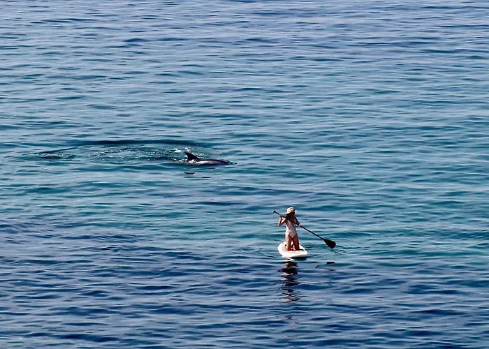 Гостевой дом Casa Aurita Adults Only